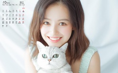 苍井空主演的所有电影大全